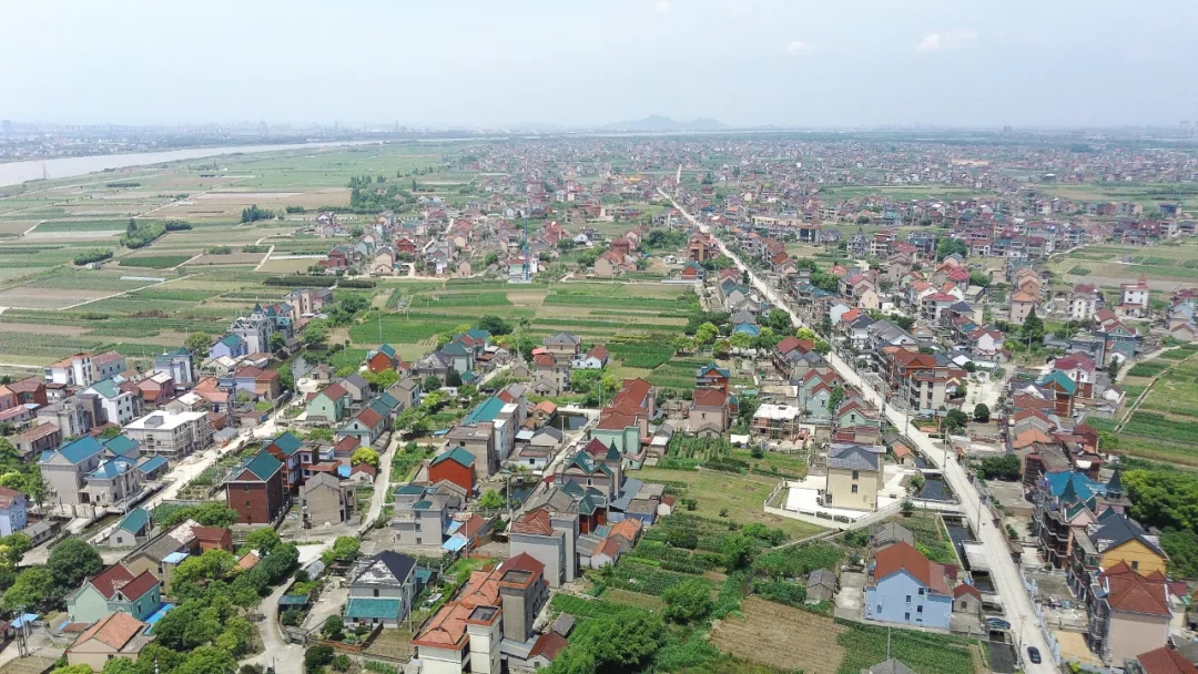 伟明村航拍.webp (1).jpg