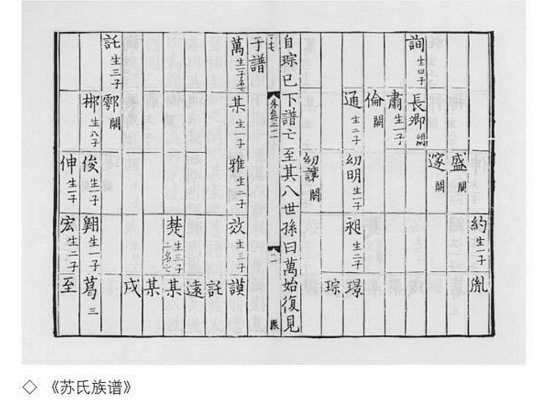 苏氏族谱.jpg