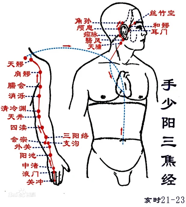 手少阳三焦经2.jpg