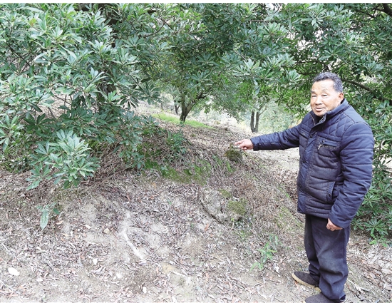 驿亭镇孝丰村的李灿荣老人指认包娥墓的所在地.jpg