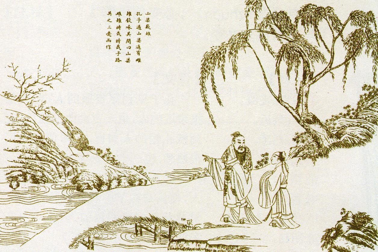 山梁雌雉.jpg