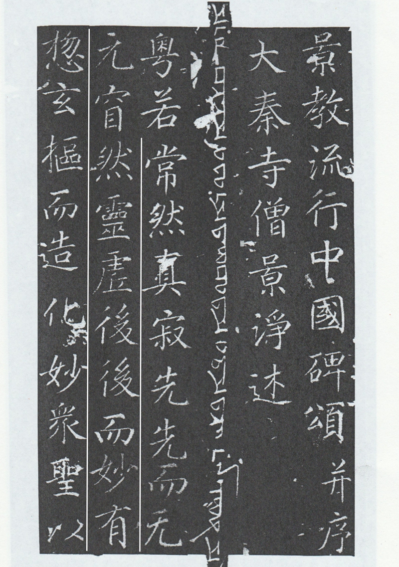 8_裁剪 白线_压缩.jpg