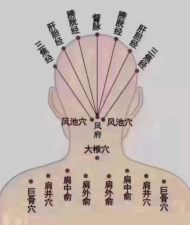头部经络.jpg