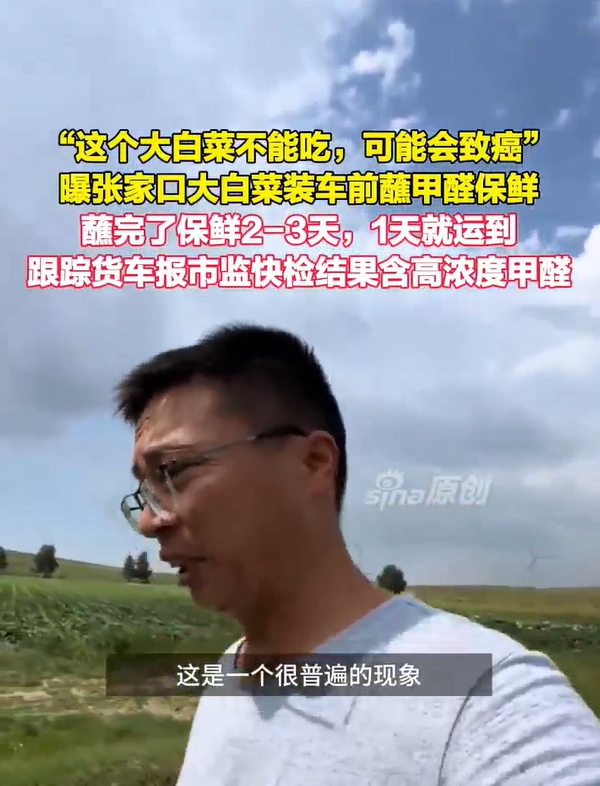 白菜醮甲醛.jpg